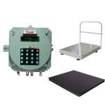 600kg/100gm Essae DF-451 Flame Proof (FLP) Weighing Scale | IP-65 For Hazardous Area & Gas Group IIA, IIB, and Zone 1 & Zone 2 | Capacity 600kg and 100gm Platform Size 1200x1500mm