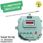 Flameproof Weighing Machine Indicator - Safe, Reliable Weighing for Hazardous Environments