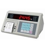 Built-in Printer Weighing Indicator | Weighbridge Terminal with Ticket Printing