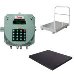 2000kg/500gm Essae DF-451 Flame Proof (FLP) Weighing Scale | IP-65 For Hazardous Area & Gas Group IIA, IIB, and Zone 1 & Zone 2 | Capacity 2000kg and 500gm Platform Size 1200x1200mm