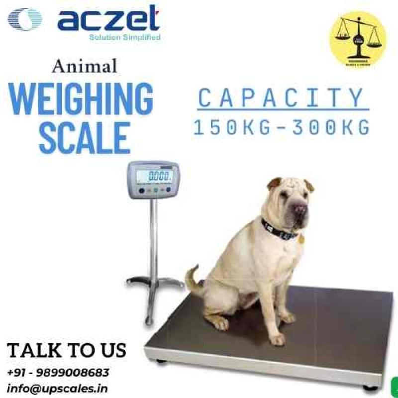 300kg/50gm Aczet Animal Weighing Scale Capacity 300kg/660lbs and Accuracy 50gm