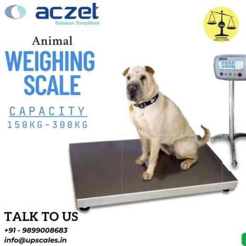 300kg/50gm Aczet Animal Weighing Scale Capacity 300kg/660lbs and Accuracy 50gm