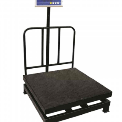 Platform Weighing Scale Capacity 300kg & Readability 30gm | With Government Calibration Certificate