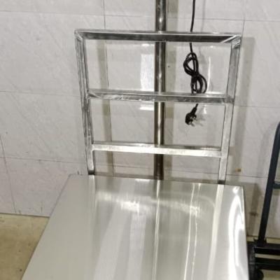 Artech Stainless Steel Platform Scale | 50kg to 500kg Capacity | IP65 Load Cell | U.P. SCALES